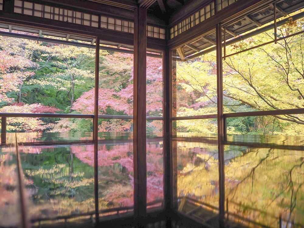 OLYMPUS PEN E-PL9で京都の紅葉を撮影