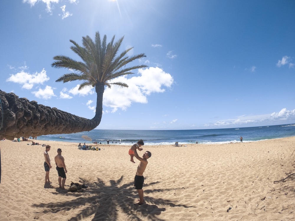 GoPro Hero7 初心者セットでハワイの浜辺で面白い形のヤシの木と☆